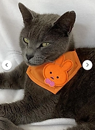 Kemique Kedi Bandana, Fular, Kedi Kıyafeti Kedi Elbisesi, Kedi Tasması