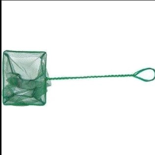 Malawi İzmir Akvaryum Balık Kepçe 10 Cm