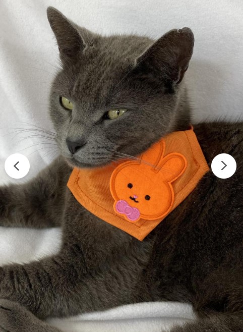 Kemique Kedi Bandana, Fular, Kedi Kıyafeti Kedi Elbisesi, Kedi Tasması